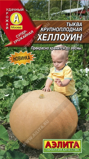 Тыква крупноплодная Хеллоуин 1 г Тыква крупноплодная Хеллоуин 1 г