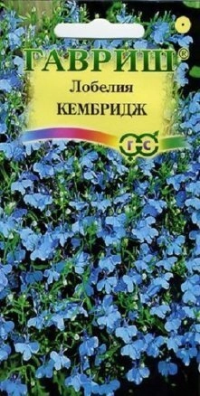 Лобелия Кембридж 0,01 г