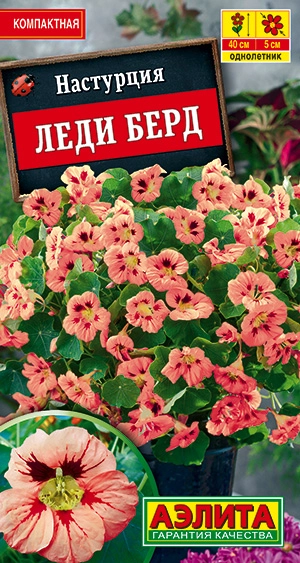 Настурция Леди Берд 1 г Настурция Леди Берд 1 г