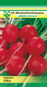 Редис Илка, 2 г (МССО)