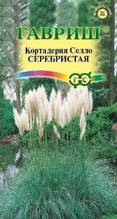 Кортадерия Селло Серебристая многолетник, 8 шт (Гавриш)