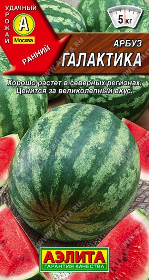 Арбуз Галактика, 1 г (АЭЛИТА) Арбуз Галактика, 1 г (АЭЛИТА)
