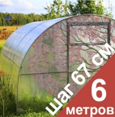 Теплица &quot;ПЛЮС&quot; 20x20, 6 м. - шаг 67 см (Агросфера)
