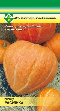 Тыква Россиянка, 10 шт (МССО)