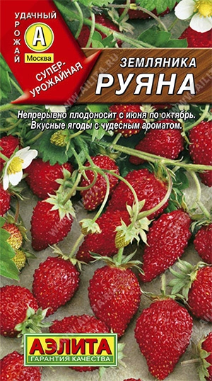 Земляника Руяна альпийская, 0,04 г (Аэлита) Земляника Руяна альпийская, 0,04 г (Аэлита)