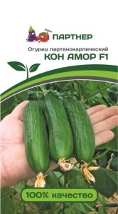 Огурец Кон Амор F1, 5 шт