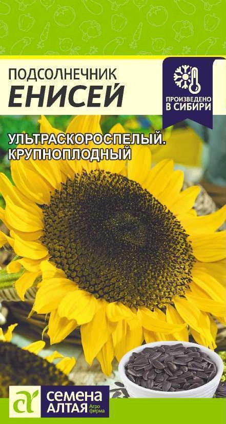 Подсолнечник Енисей, 10 г (Сем Алт) Подсолнечник Енисей, 10 г (Сем Алт)
