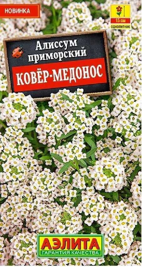 Алиссум Ковер-медонос, 0,05 г (АЭЛИТА) Алиссум Ковер-медонос, 0,05 г (АЭЛИТА)