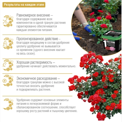 Удобрение Bona Forte для пионов и роз с биодоступным кремнием гранулированное пролонгированное , 1 л Удобрение Bona Forte для пионов и роз с биодоступным кремнием гранулированное пролонгированное , 1 л