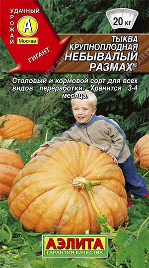Тыква крупноплодная Небывалый размах, 2 г Тыква крупноплодная Небывалый размах, 2 г