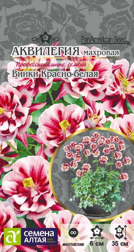 Аквилегия Винки Красно-белая 5 шт Аквилегия Винки Красно-белая 5 шт