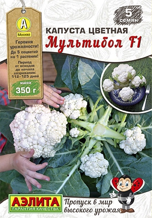 Капуста цветная Мультибол F1, 5 шт (АЭЛИТА)