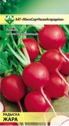 Редис Жара, 3 г (МССО)