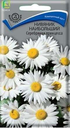 Нивяник наибольший Серебряная принцесса, 0,5 г (Поиск)
