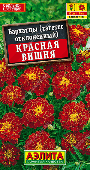 Бархатцы Красная вишня отклоненные, 0,3 г (АЭЛИТА) Бархатцы Красная вишня отклоненные, 0,3 г (АЭЛИТА)