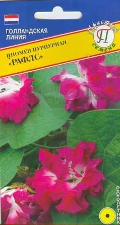 Ипомея Рафлс пурпурная однолетник, 0,2 г (Престиж)