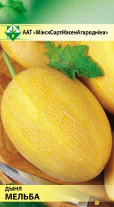 Дыня Мельба, 10 шт (МССО)