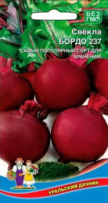 Свекла Бордо 237 (УД) Свекла Бордо 237 (УД)
