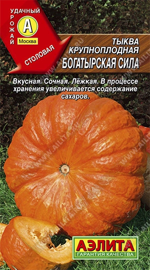 Тыква крупноплодная Богатырская сила,1 г (АЭЛИТА) Тыква крупноплодная Богатырская сила,1 г (АЭЛИТА)