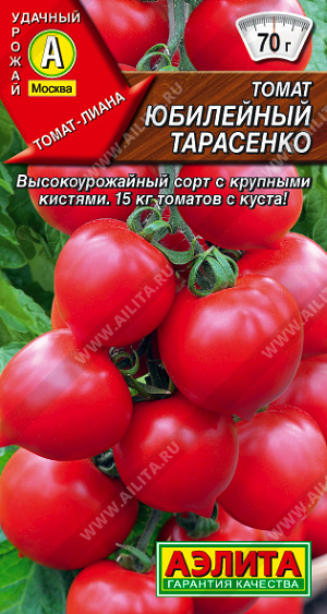 Семена Томат Юбилейный Тарасенко: описание сорта, фото - купить с доставкой или почтой России