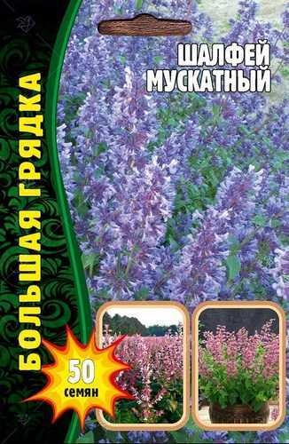 Шалфей мускатный Большая грядка, 50 шт (Ред.сем) Шалфей мускатный Большая грядка, 50 шт (Ред.сем)