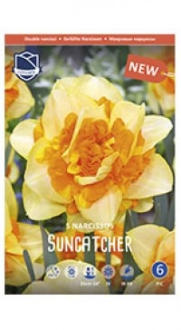 Нарцисс Suncatcher