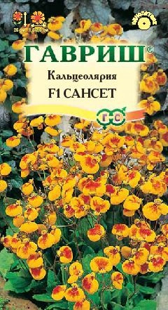 Кальцеолярия Сансет F1, 10 шт