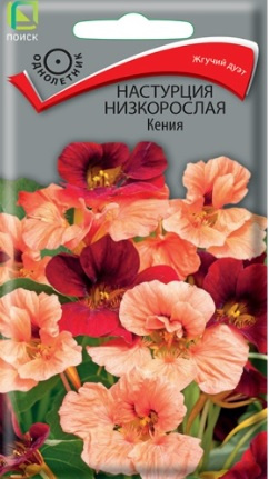 Настурция низкорослая Кения, 1 г (Поиск)
