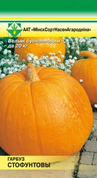 Тыква Стофунтовая, 10 шт