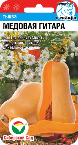 Тыква Медовая гитара, 5 шт (Сиб Сад) Тыква Медовая гитара, 5 шт (Сиб Сад)