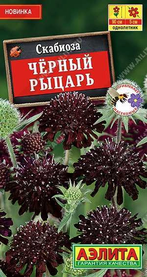 Скабиоза Черный рыцарь 0,1 г (АЭЛИТА Скабиоза Черный рыцарь 0,1 г (АЭЛИТА