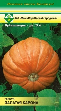 Тыква Золотая корона, 10 шт (МССО)