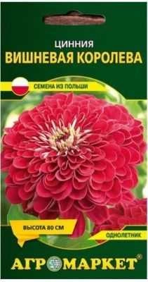 Цинния Вишневая королева 0,5 г (Агромаркет)