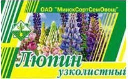 Люпин Жодинский 1 кг