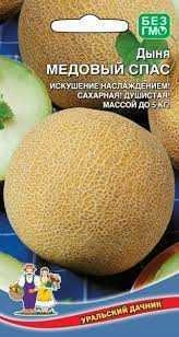 Дыня Медовый спас, 10 шт (УД)