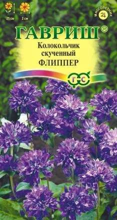 Колокольчик Флиппер многолетник, 0,01 г (Гавриш)
