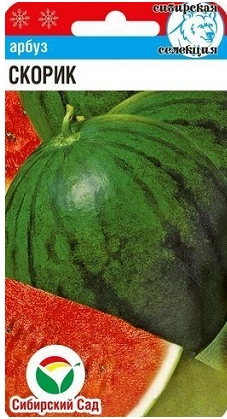 Арбуз Скорик, 5 шт (Сиб Сад)