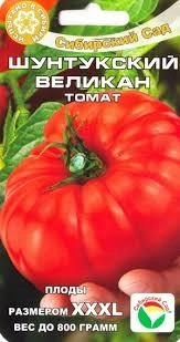 Томат Шунтукский Великан
