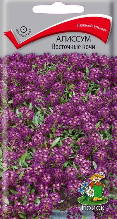Алиссум Восточные ночи 0,3 г Алиссум Восточные ночи 0,3 г