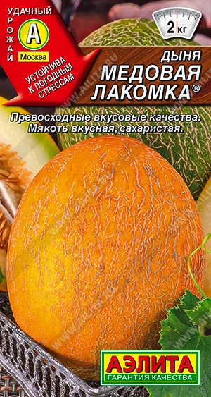 Дыня Медовая лакомка, 1 г (АЭЛИТА) Дыня Медовая лакомка, 1 г (АЭЛИТА)