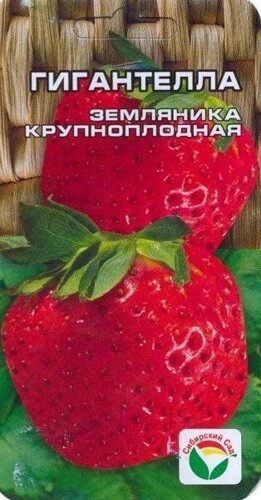 Клубника Гигантелла, 10 шт (Сиб Сад) Клубника Гигантелла, 10 шт (Сиб Сад)