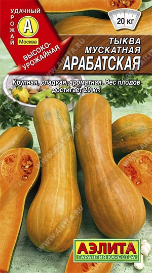 Тыква мускатная Арабатская, 1 г (АЭЛИТА) Тыква мускатная Арабатская, 1 г (АЭЛИТА)