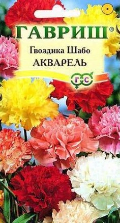 Гвоздика Шабо Акварель, смесь 0,1 г