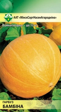 Тыква Бамбино, 7 шт (МССО)