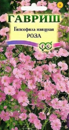 Гипсофила Изящная Роза, 0,5 г
