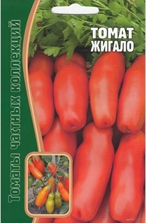 Томат Жигало, 10 шт (Ред сем)