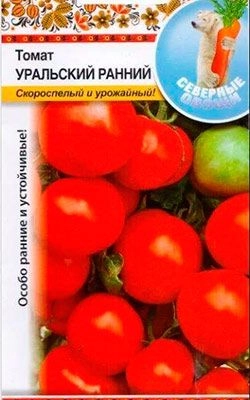 Томат Уральский ранний