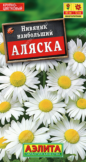 Нивяник Аляска, 0,5 г (Аэлита) Нивяник Аляска, 0,5 г (Аэлита)
