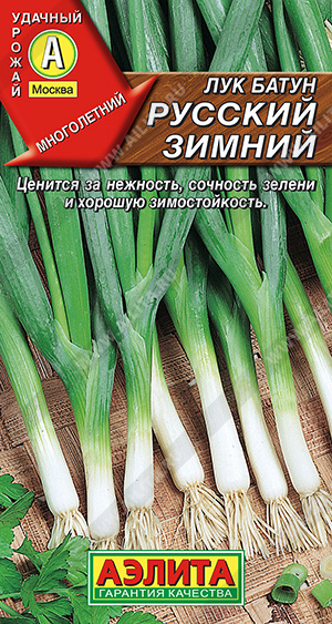 Лук батун Русский зимний, 0,5 г (Аэлита) Лук батун Русский зимний, 0,5 г (Аэлита)