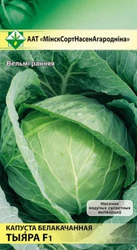 Капуста белокочанная Тиара, 15 шт (МССО)